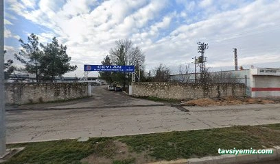 Ceylan Uluslararası Nakliyat