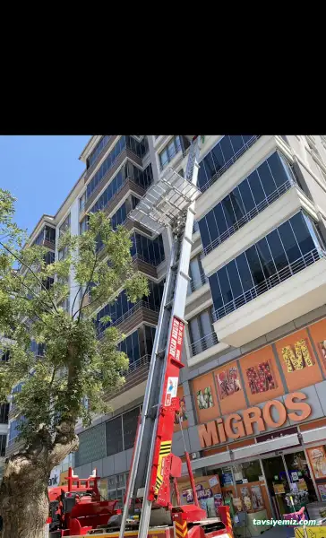 Çorum Arslan Asansörlü Taşımacılık