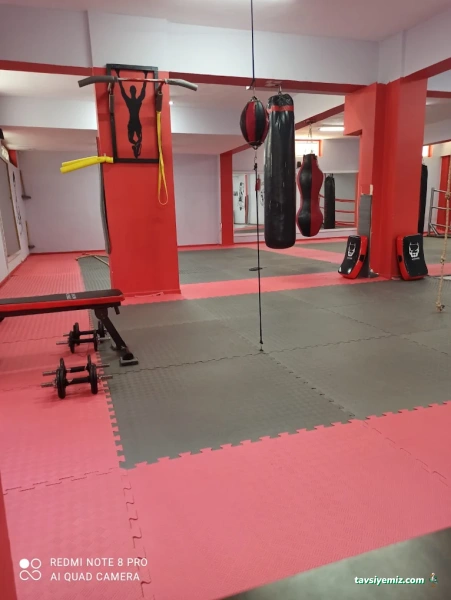 Ch Fight School