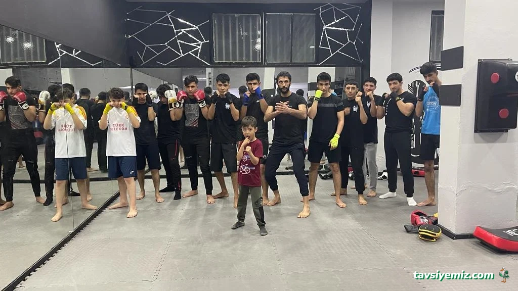 Ch Fight School