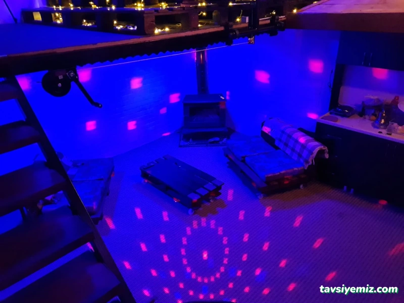 Chek-Me Cat Nightclub