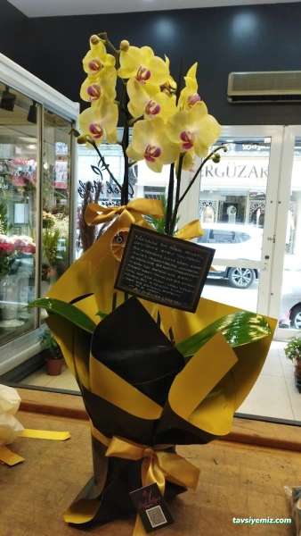 Çiçek Atölyesi Tekirdağ