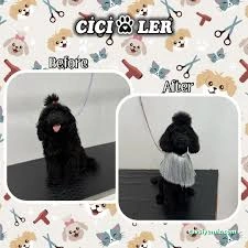 Cici Patiler Edirne Petshop & Pet Kuaför