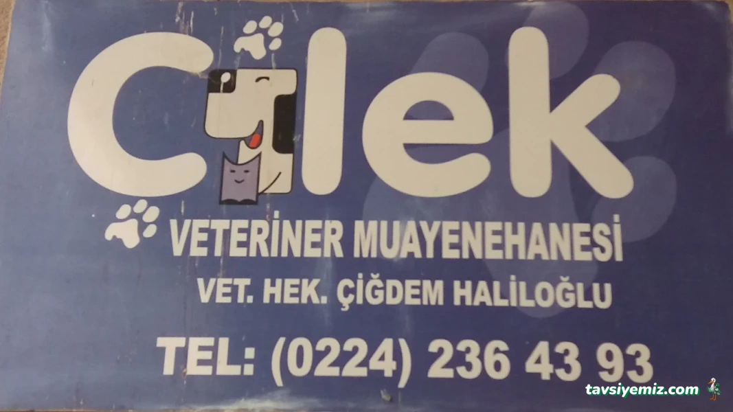 Çilek Veteriner