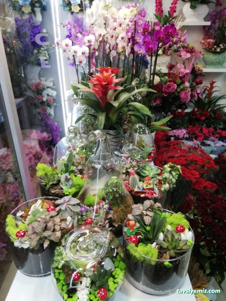 Çınar Çiçekçilik