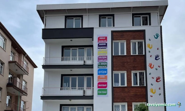 Çınar Mavi Işık Özel Eğitim