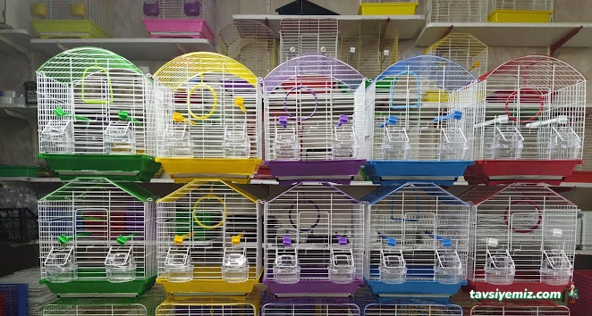 Çınar Petshop & Hobi Center