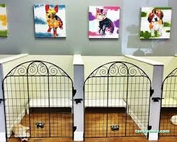 Çizmeli Kedi Petshop & Kedi Oteli - Kedi Pansiyonu