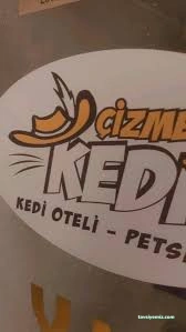 Çizmeli Kedi Petshop & Kedi Oteli - Kedi Pansiyonu