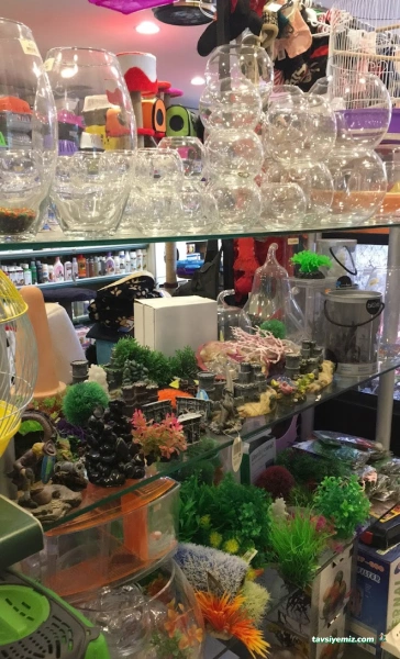 Club Safari Pet&Garden Center Panora Avm