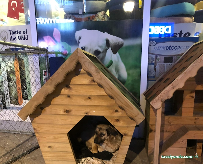Club Safari Pet&Garden Center Panora Avm