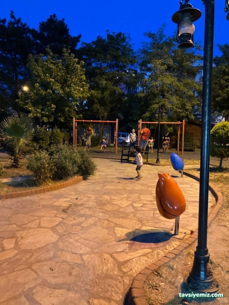 Çocuk Oyun Alanı Lunapark