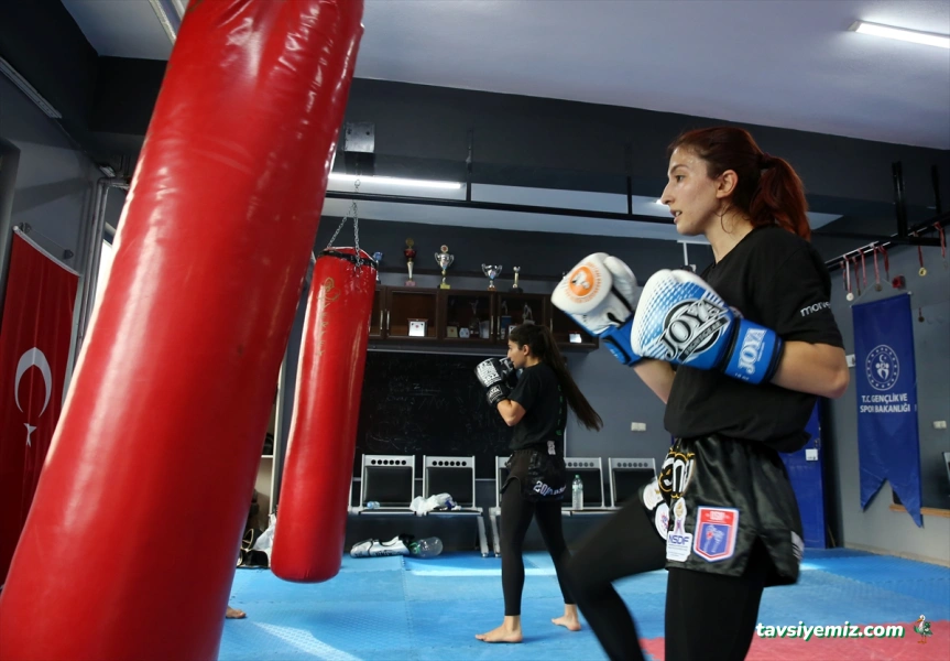 Crater Fight Academy