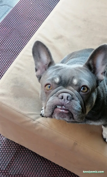 Cuba Fotoğrafçılık