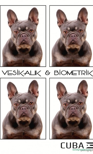 Cuba Fotoğrafçılık