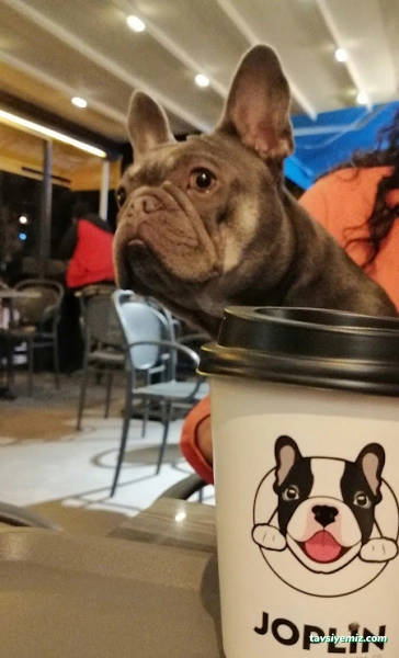 Cuba Fotoğrafçılık