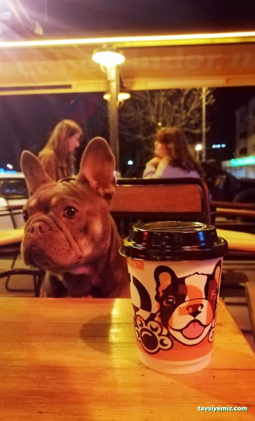 Cuba Fotoğrafçılık