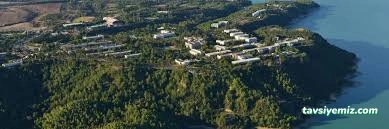 Çukurova Üniversitesi