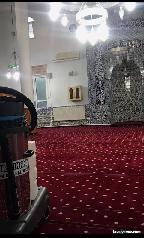 Balıkesir Mavi Halı Koltuk Stor Perde Yıkama