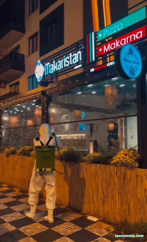 Vizyon Pest İlaçlama