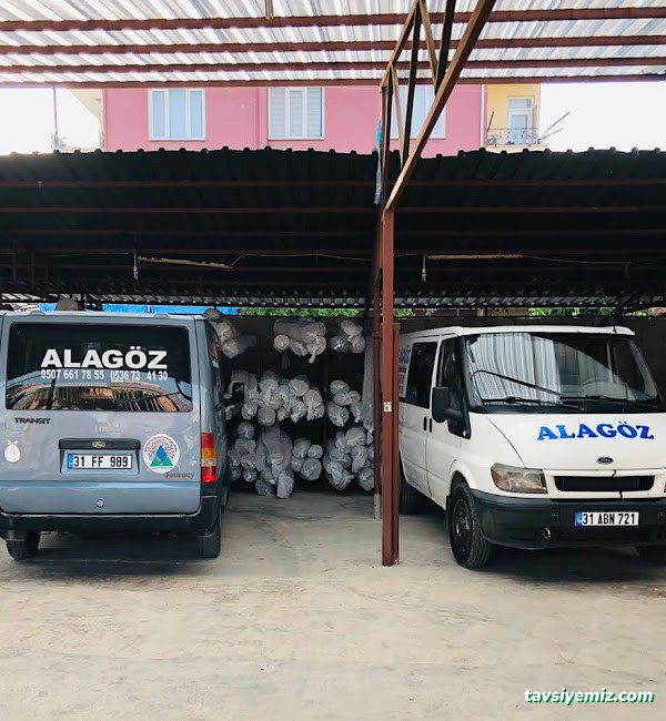 Alagöz Halı Yıkama