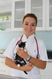 Damla Veteriner Kliniği