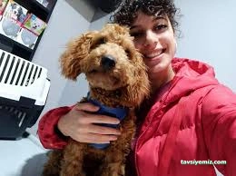 Damla Veteriner Kliniği