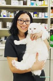 Damla Veteriner Kliniği