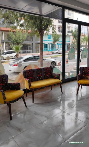 Darıca Veteriner Kliniği