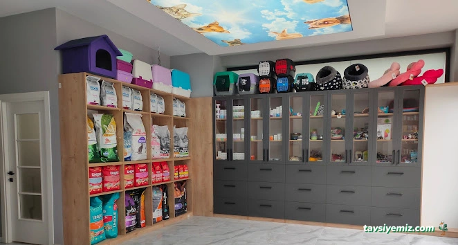 Darıca Veteriner Kliniği