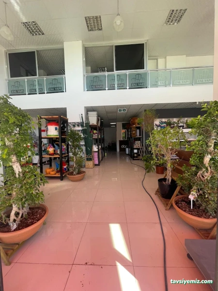 Daristan Peyzaj Ve Mimarlık