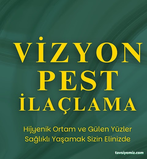 Vizyon Pest İlaçlama