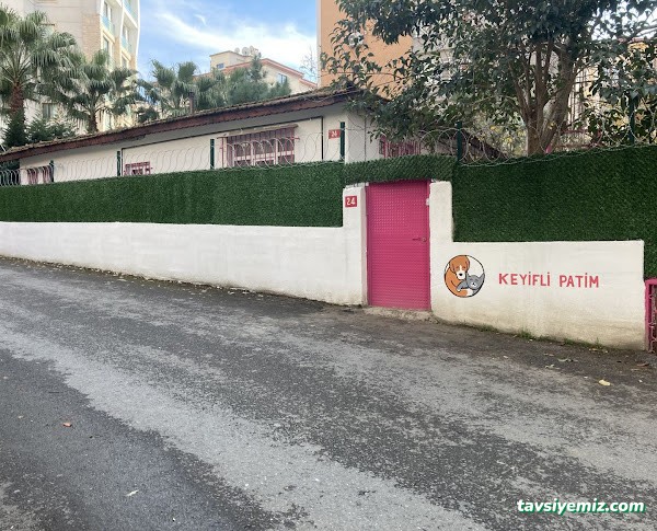 Keyifli Patim | Köpek Oteli | Köpek Pansiyonu | Pet Otel