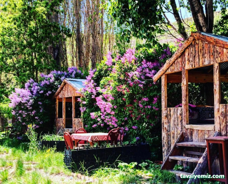 Degirmen Cay Bahcesi