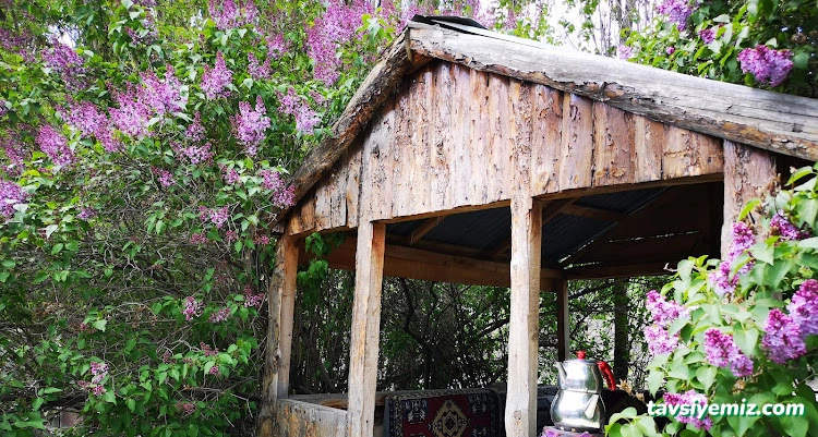 Degirmen Cay Bahcesi