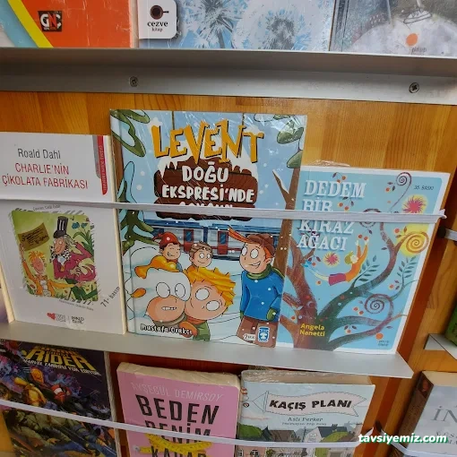 Değişim Yayınları Kitap Basım Yayın San. Ve Tic. Ltd. Şti.