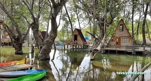 Demircioğlu Camping