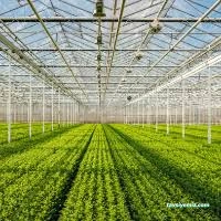 Demirdaşlar Müteahhitlik Seracılık