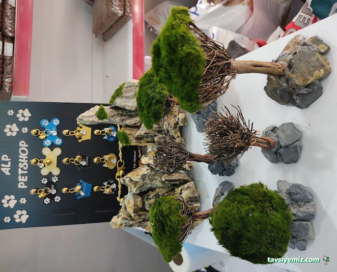 Demirtaş Alp Petshop