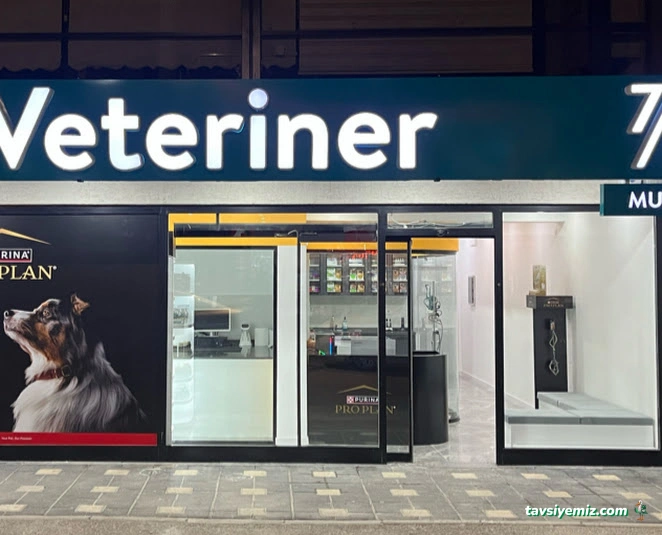 Demirtaş Veteriner Kliniği | 7/24 Acil Veteriner | Nöbetçi Veteriner | Demirtaş Veteriner | Osmangazi Veteriner