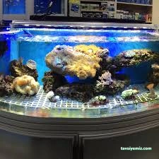 Deniz Akwaryum&Petshop