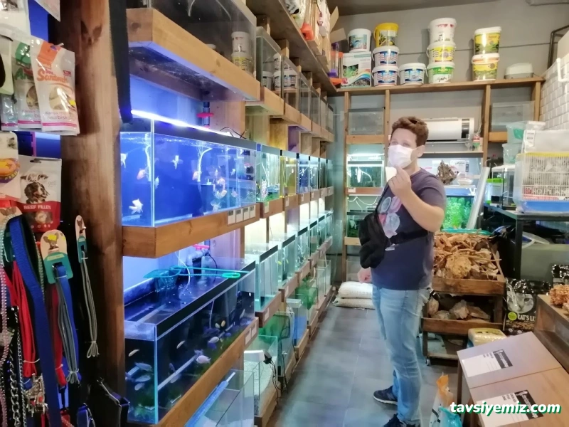 Denizatı Petshop Yalova