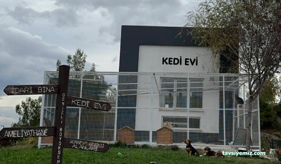 Denizli Belediyesi Sokak Hayvanları Kliniği