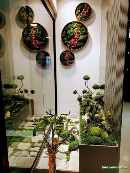 Dent Center Kentplaza Ağız Ve Diş Sağlığı Polikliniği