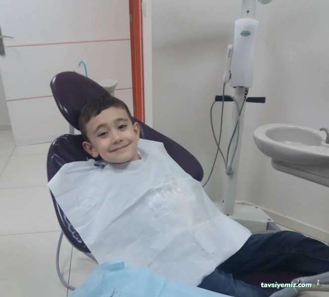 Dentanemon Özel Ağız Ve Diş Sağlığı Hizmet Ltd.şti