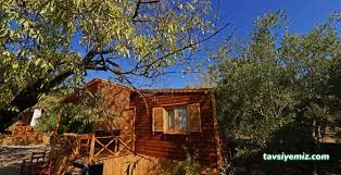 Derin Taş-Bungalow Datca