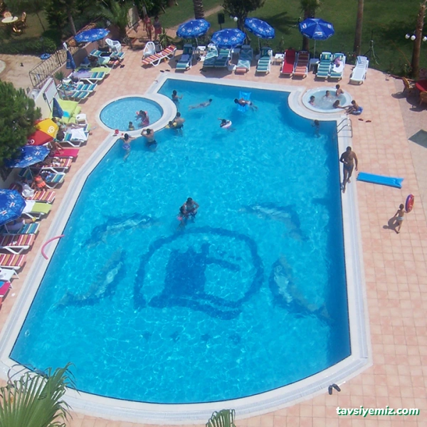 Derya Arıtım Ve Havuzculuk