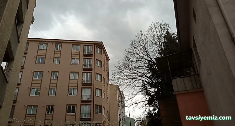 Detay Oto Kuaför & Oto Yıkama