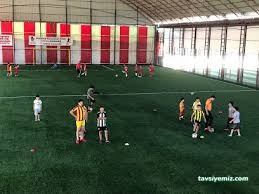 Ayışığı Kapalı Halı Saha