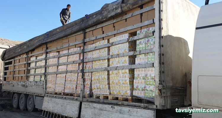 Güneydoğu Uluslararası Nakliyat Cizre Şırnak